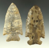 Pair of Archaic points, largest is 3 1/8