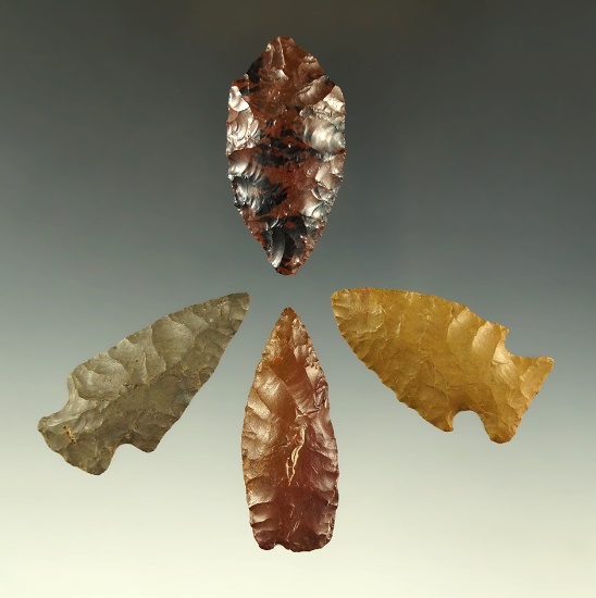 Set of four arrowheads found near the Columbia River, largest is 1 3/4".