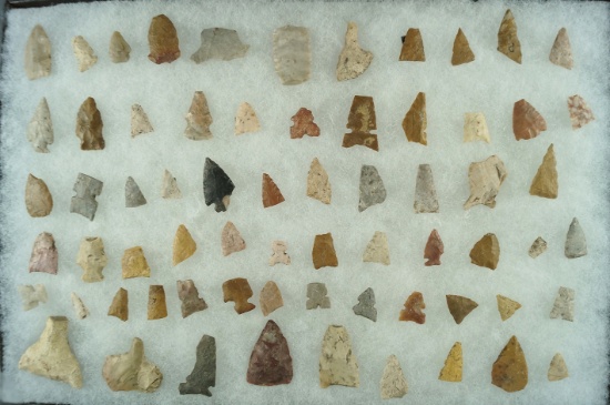 Large group of assorted damaged High Plains artifacts for study. Largest is 1 1/4".