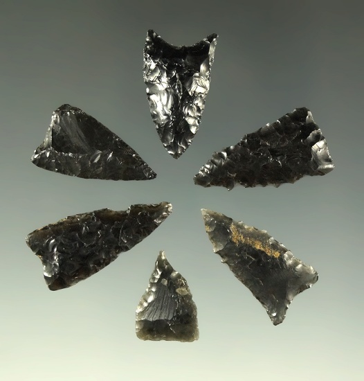 Set of six obsidian triangle points found in the southwestern U.S. Largest is 15/16".