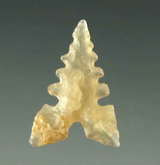Ex. Museum! Incredible material on this translucent agate 3/4" Toyah point found in Texas. COA.