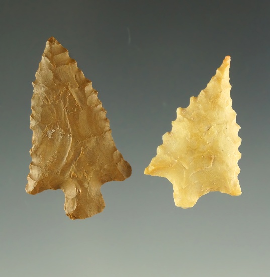 Ex. Museum! Pair of Pinwah points found in Texas. One is pictured in the Overstreet  15th ed.