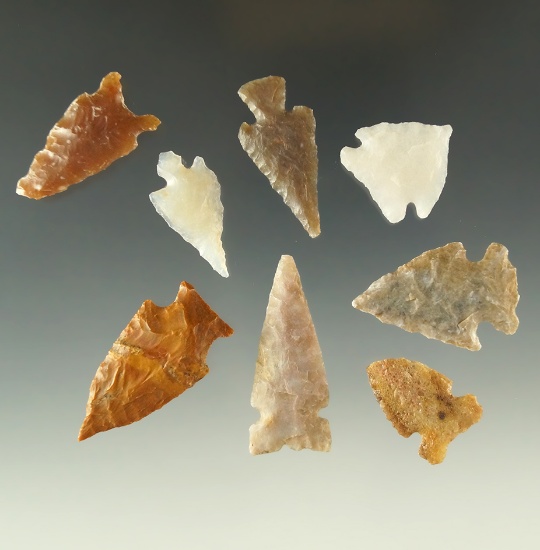 Set of eight assorted arrowheads found in Colorado, largest is 1 7/16".