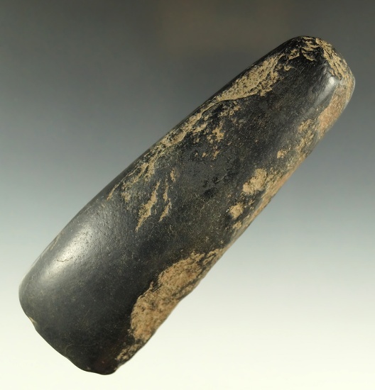 5 1/4" diorite Adze that is highly polished found in Ohio. Comes with a Bennett COA.