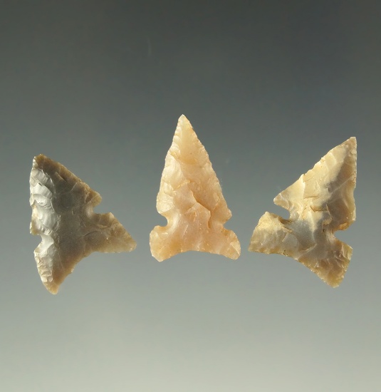 Ex. Museum! Set of 3 desert side Notch points and nice condition. All are Ex. Charles Shewey.