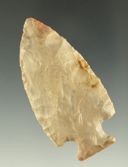 2 7/16" Tablerock found in the Missouri area. Ex. Charles Shewey collection.  Jackson COA.