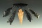 Set of six arrowheads found near Fort Rock Oregon, all are in nice condition. Largest is 2 3/16
