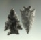 Ex. Museum! Pair of obsidian arrowheads found in the Great Basin Area that are nicely styled.