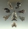 Set of 8 assorted mostly obsidian arrowheads, largest is 1 1/2