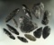 Set of 12 assorted obsidian artifacts found in the Great Basin area, largest is 3 3/8