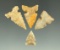 Ex. Museum! Set of four Desert Sidenotch arrowheads, largest is 1