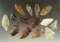 Set of 14 assorted Columbia River arrowheads, largest is 1 7/8