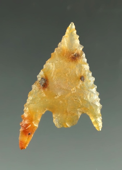 Ex. Museum! Pictured - Nice! 1 3/16" Serrated and very thin Gunther - Oregon - translucent agate.