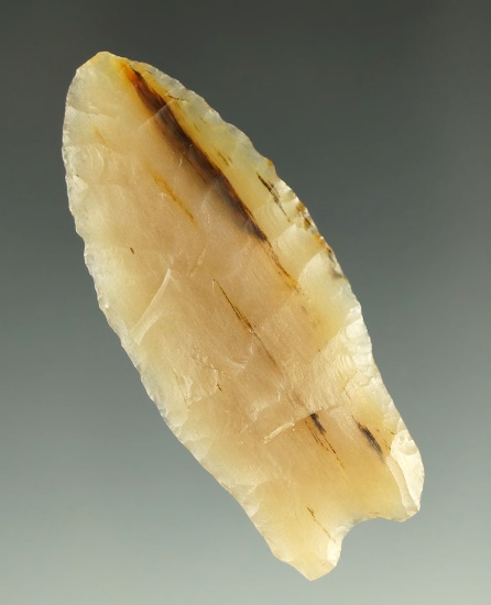 Pictured! Exceptional! 2 1/8" Duncan point - Montréal County ND.  Agatized Wood. Overstreet 10.