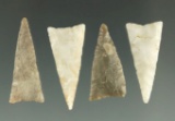 Set of four Aguaje points found in Massac County Colorado made from various cherts and agates.
