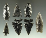 Set of seven obsidian arrowheads found in Oregon, largest is 1 5/8
