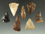 Set of seven assorted Triangular points found near the Columbia River, largest is 1 9/16