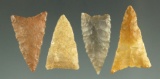 Ex. Museum! Set of four triangular arrowheads found in the southwestern U.S., largest is 13/16