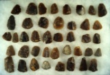Large group of Knife River Flint scrapers found in the Dakotas. Largest is 1 1/2
