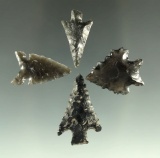 Set of four arrowheads found near Fort Rock Oregon, largest is 1 1/8