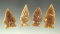 Set of four Knife River Flint arrowheads found in the Dakotas area, largest is 1 1/2