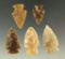 Set of five assorted arrowheads found in the Dakotas, largest is 1 7/16