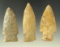 Set of three assorted arrowheads found in Trigg County Kentucky, largest is 2 3/4