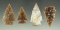Set of four Knife River Flint arrowheads found in the Dakotas, largest is 1 1/2
