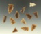 Set of 12 assorted arrowheads found in the Dakotas area, largest is 15/16