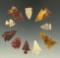 Set of 10 assorted arrowheads found in the Plains region, largest is 1 1/16