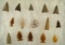 Set of 15 assorted arrowheads found in the Plains region, largest is 1 3/8