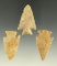 Set of three arrowheads found in Kansas, largest is 1 11/16