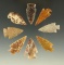 Set of eight assorted Plains arrowheads, largest is 1 3/8