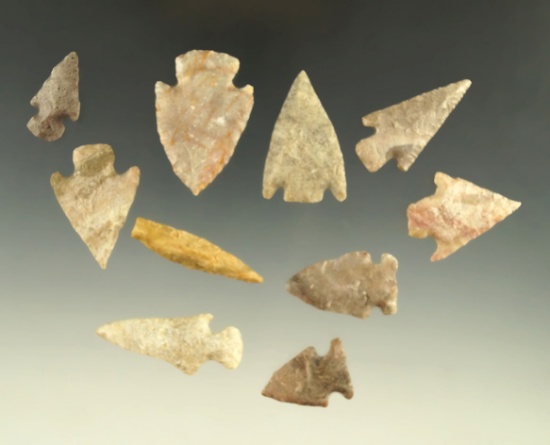 Group of 10 assorted Texas arrowheads, largest is 1 5/8".
