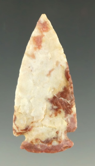 1 13/16" Alibates Flint Cornernotch with a very unique color pattern.
