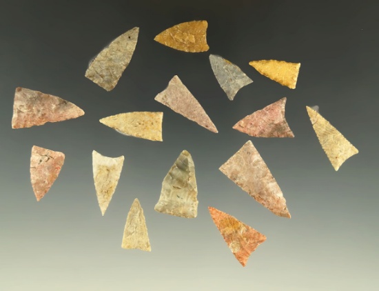 Nice group of 15 Triangle points found in the Plains region, largest is 1 1/16".