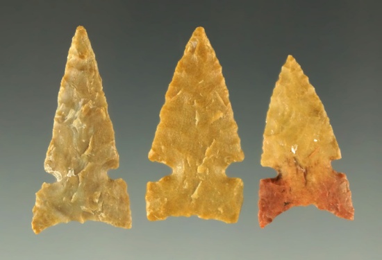 Set of three Plains Sidenotch points in excellent condition. Largest is 1 5/16".