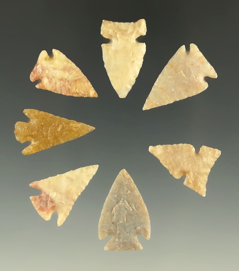 Set of seven arrowheads found in the Plains region, largest is 15/16".