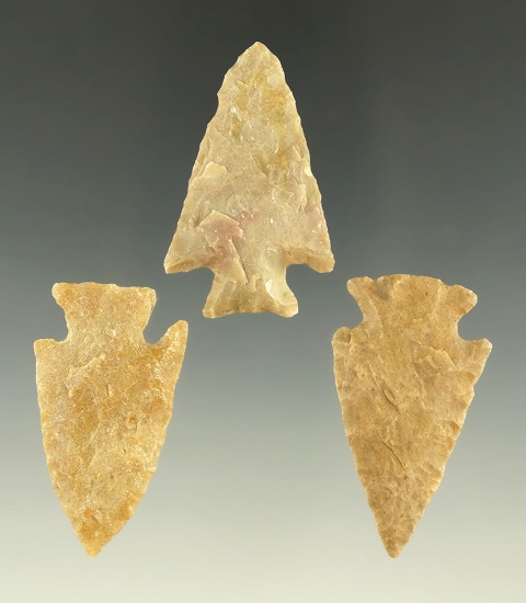 Set of three arrowheads found in Kansas, largest is 1 11/16".