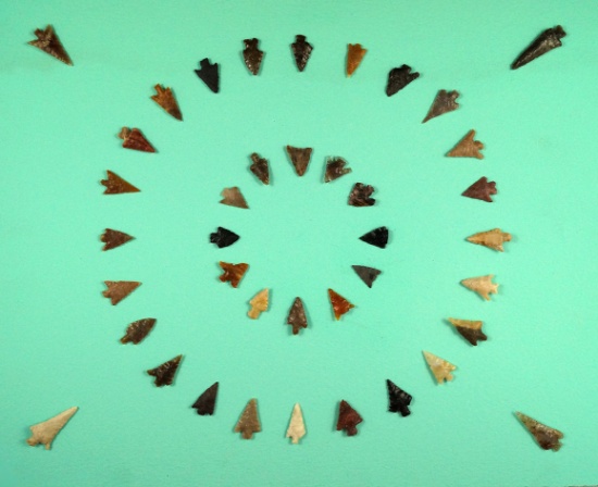 Large group of 40 assorted arrowheads found near the Columbia River  glued to a board.