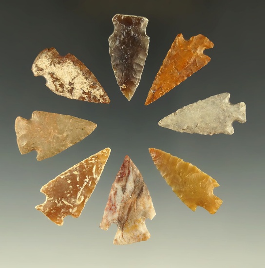 Set of eight assorted Plains arrowheads, largest is 1 3/8".