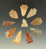 Set of 10 arrowheads found in the Plains region, all in good condition. Largest is 15/16