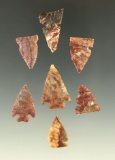 Set of seven Alibates Flint arrowheads found in Kansas, largest is 1 1/16