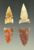 Set of four Plains Sidenotch arrowheads found in Kansas, largest is 1 1/16