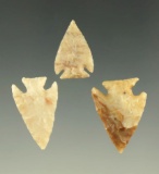 Set of three nice Kansas arrowheads, all very nicely flaked. Largest is 15/16