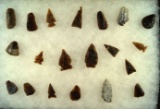 Group of assorted arrowheads and scrapers found in the Dakotas, largest is 1 5/8