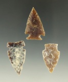 Set of three heavily patinated arrowheads found in South Dakota, largest is 1 9/16
