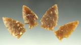 Set of four Knife River Flint arrowheads found in the Dakotas, largest is 1 5/16
