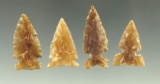 Set of four well styled notched arrowheads found in the Plains region, largest is 1 1/8