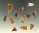 Set of 12 assorted arrowheads found in the Dakotas area, largest is 15/16